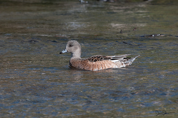 D30_5002