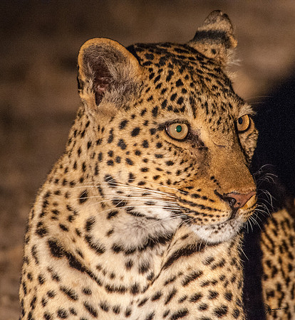D30_2515