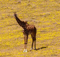 _DSC5917