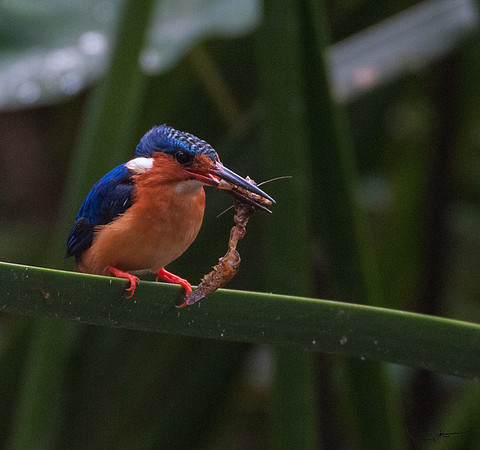 DSC_1656
