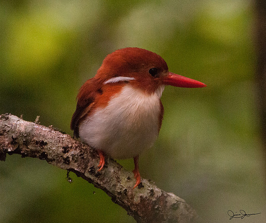 DSC_3014