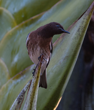 DSC_2873