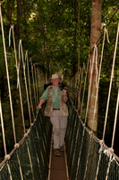 Borneo Scenery