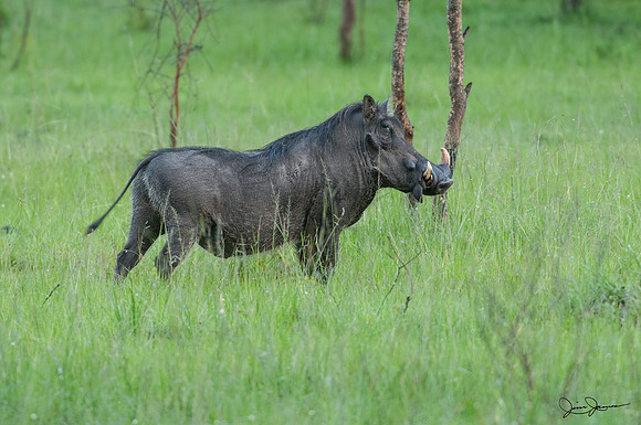 D30_1538