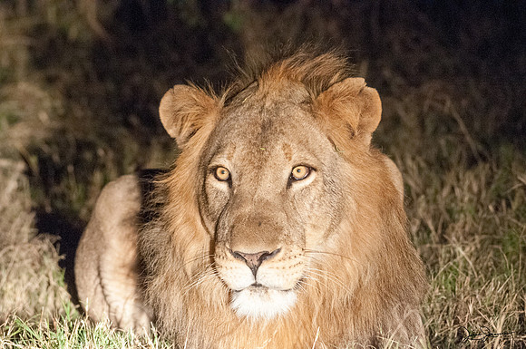 D30_2251