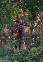 REJ_4026