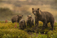 REJ_9074