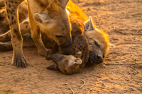 REJ_3567
