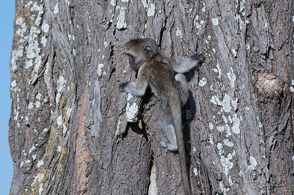 _DSC4840