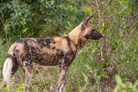 REJ_2909