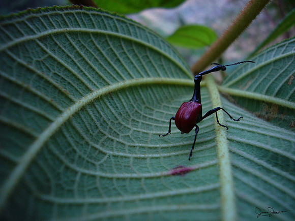 P1010490