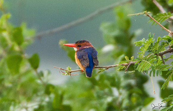 D30_9378