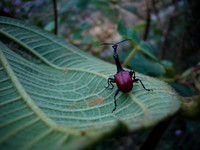 P1010486