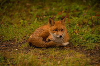 REJ_1218